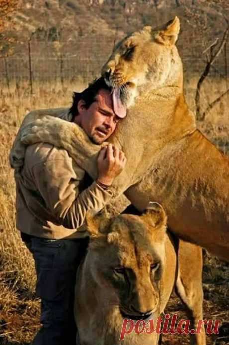 Animals - Google+