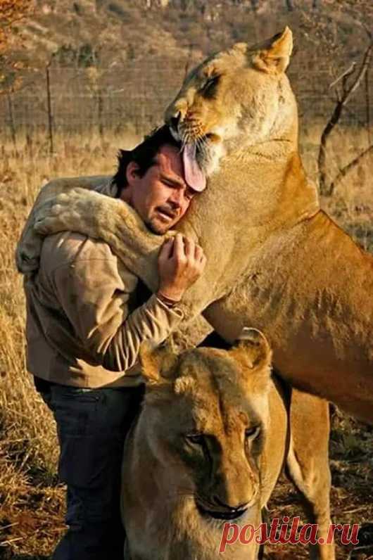 Animals - Google+