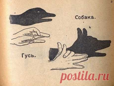 Как сделать тени животных при помощи рук? Вернись в детство!
