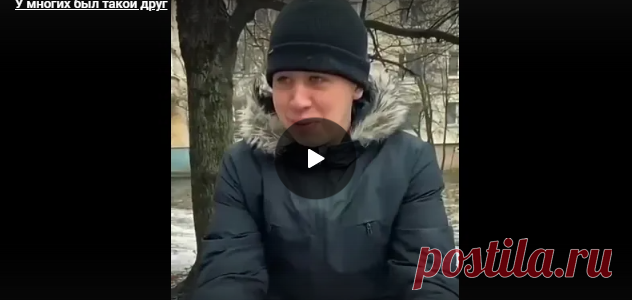 У многих был такой друг - Нет скуки - Сайт хорошего настроения