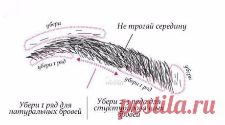 КАК СОЗДАТЬ ИДЕАЛЬНУЮ ФОРМУ БРОВЕЙ