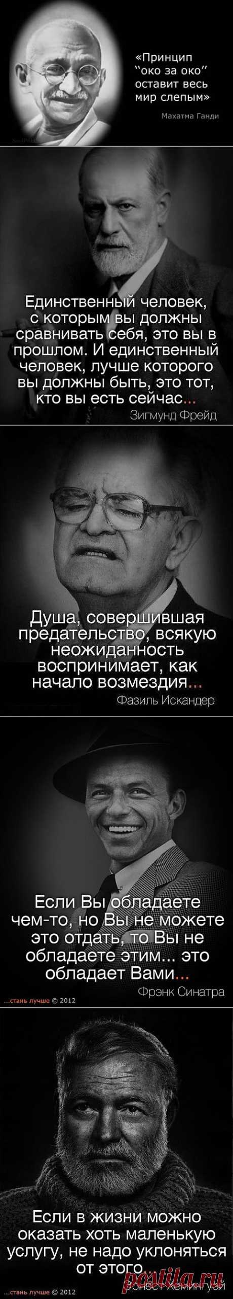 На сон грядущий..