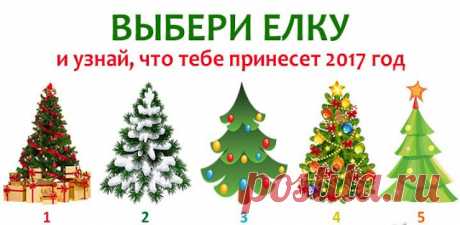 Выбери елку и узнай, что тебе принесет следующий год 
Знаешь ли ты, что Новогодняя елка способна творить чудеса. Именно поэтому ее наряжают особенным образом – каждые игрушки привлекают что-то свое. Мы даем тебе уникальный шанс выбрать елку и привлечь в…