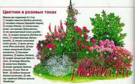 Оформление цветочной клумбы на даче