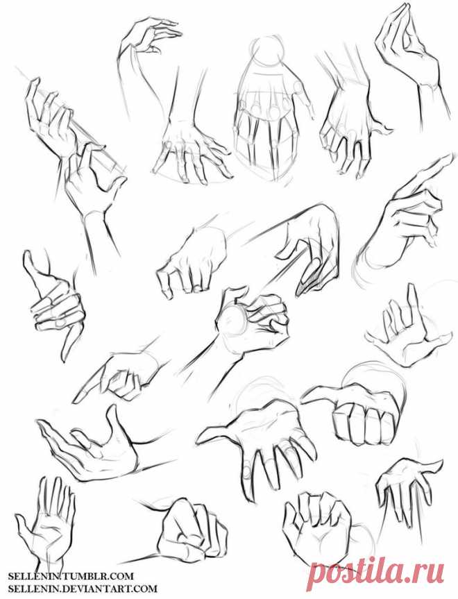 Hands reference by Sellenin on DeviantArt