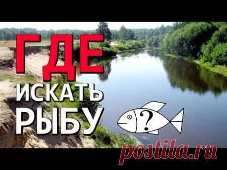 Где искать хищника на незнакомой реке : НР #5