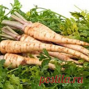 СЕРДЦЕ ПОЛЕЧИТ ВИНО ИЗ ПЕТРУШКИ