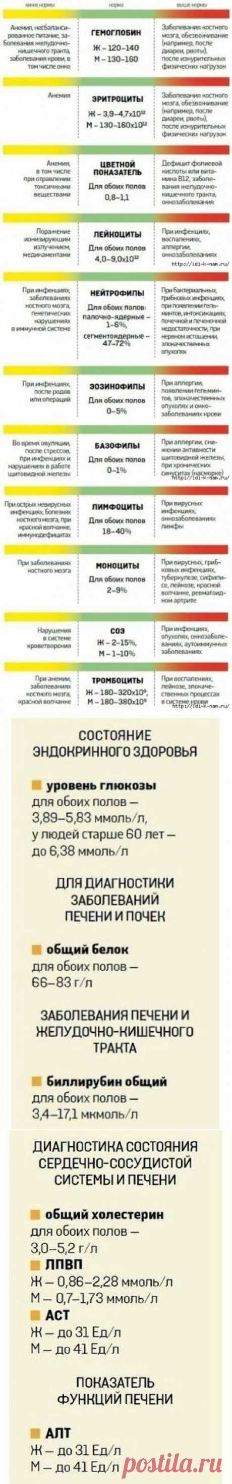 О чем расскажет анализ крови