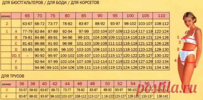 какие бывают размеры бюстгальтеров: 10 тыс изображений найдено в Яндекс.Картинках