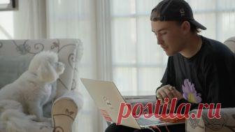 Научись понимать своего питомца - психология животных