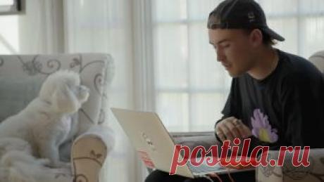 Научись понимать своего питомца - психология животных