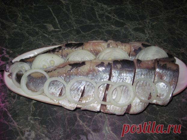 Селедочка.Рецепт малосольной селедки - Простые рецепты Овкусе.ру