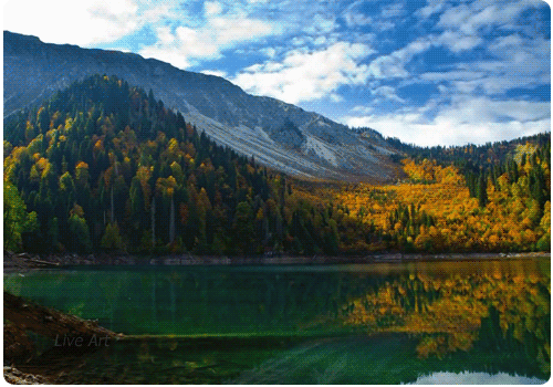 i-6772.jpg (500×350)