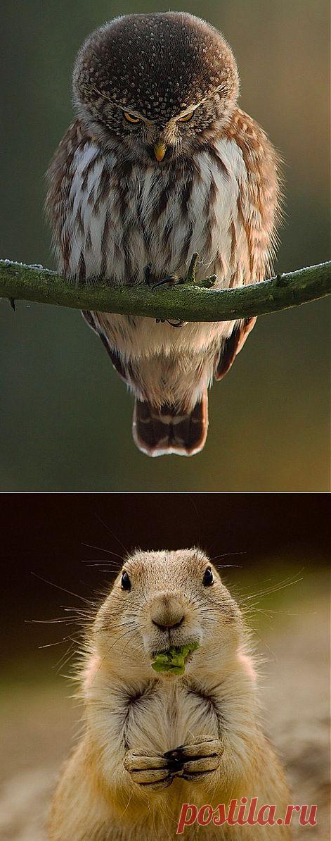 Минуты позитива))).