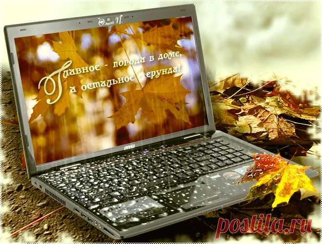 image (660×500)