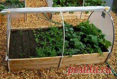 Мини-теплица для хорошего урожая