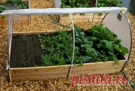 Мини-теплица для хорошего урожая