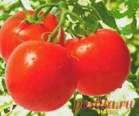 (56) Одноклассники