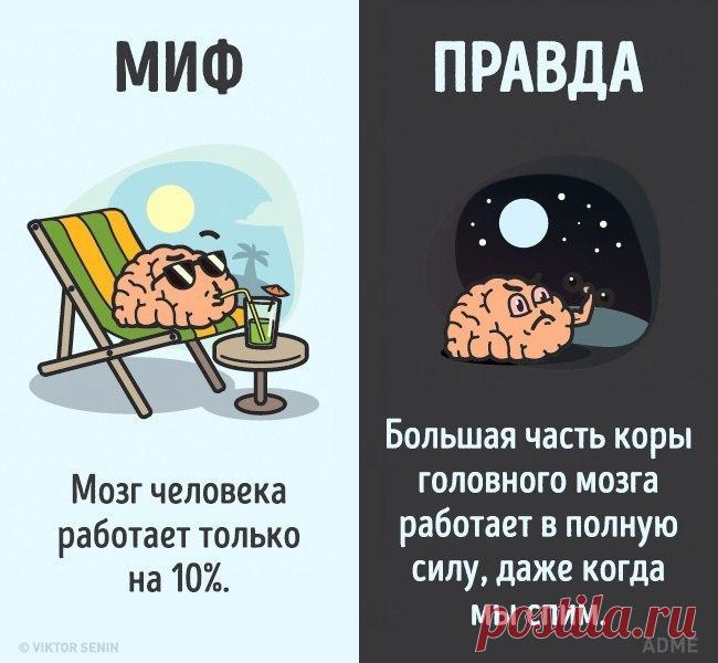 10 мифов о человеческом теле, которые пора забыть