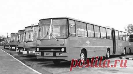 Венгерская "гармошка": за что мы будем помнить Ikarus 280