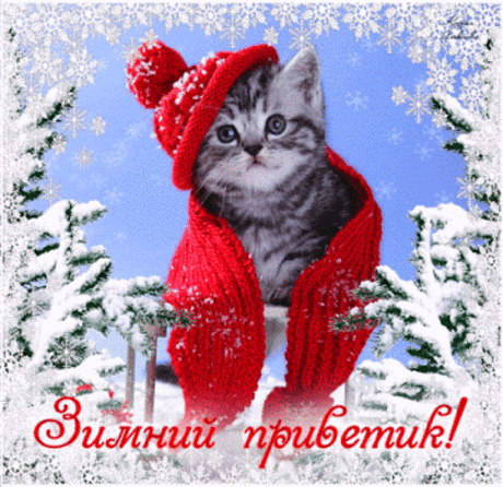 Самые популярные открытки за текущий день