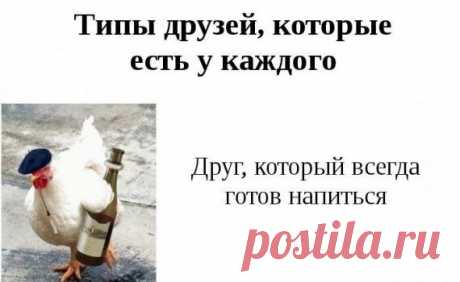 Прикольная классификация друзей / Приколы
