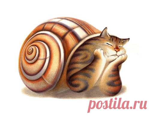 Нарисованные коты :: NoNaMe