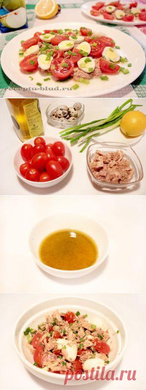 с тунцом и помидорами. Рецепт приготовления | Кулинарные рецепты