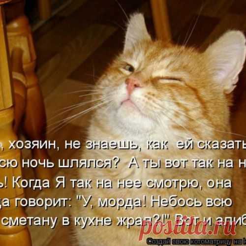 Позитив зверский. Кошатина забавная с надписями
