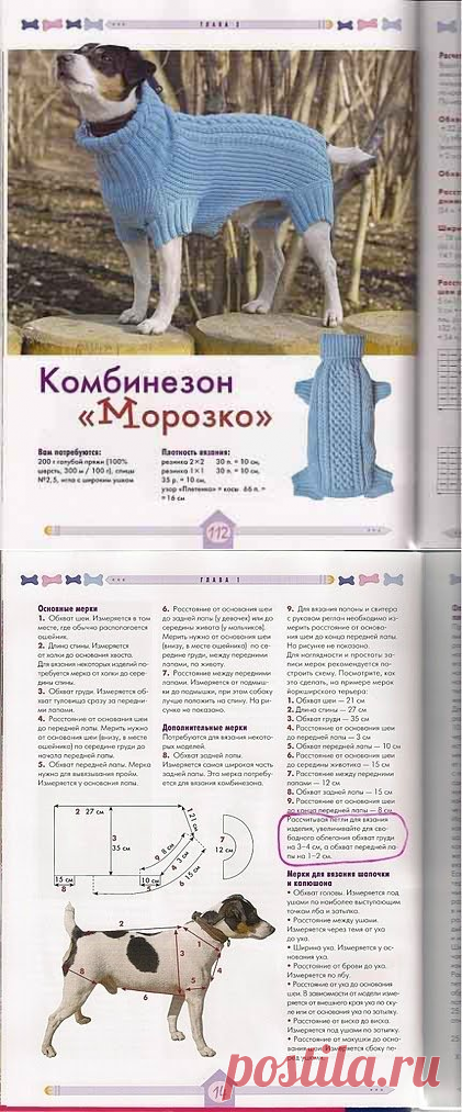 Вяжем для собак своими руками. Спицы