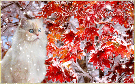 С Первым снегом! | От всего сердца МУЗЫКАЛЬНАЯ ОТКРЫТКА.