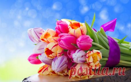 Картинки тюльпаны, букет, бутоны, пень на рабочий стол » Цветы