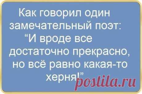 (90) Окс В-а - All about life