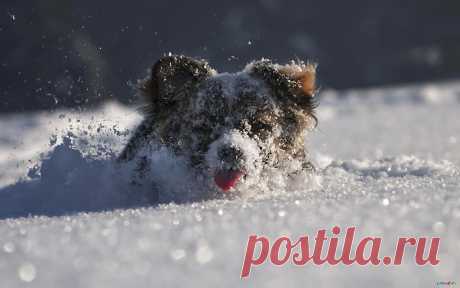 Мой Мир@Mail.Ru