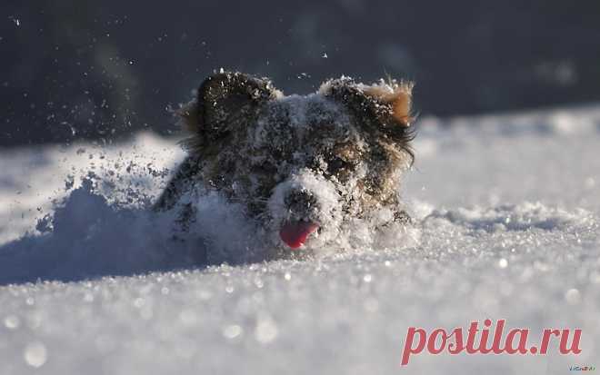 Мой Мир@Mail.Ru