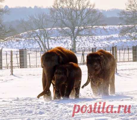 Формула счастья