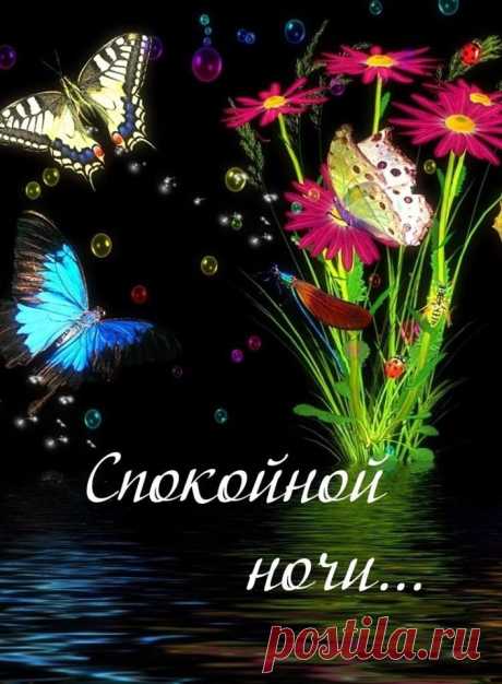 (56) Зина Таирова