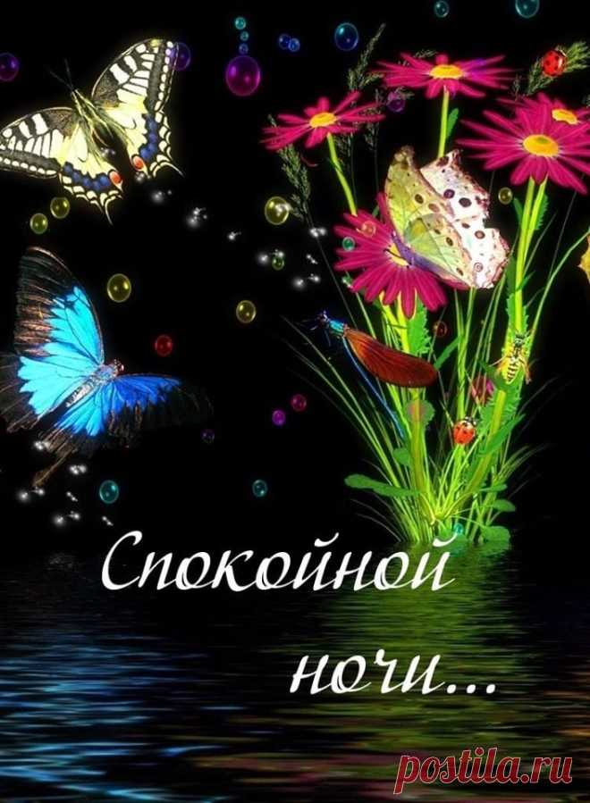 (56) Зина Таирова