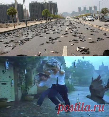 Одноклассники