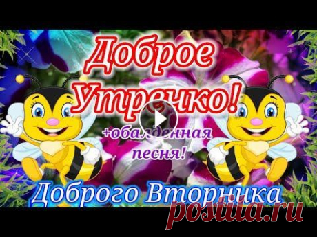 С Добрым Утром!Красивейшая Песня!Только Послушайте!Открытка с Добрым Утром! Здравствуйте меня зовут Ира, я очень рада приветствовать вас на своём канале! Спасибо что смотрите мои видео и делитесь со своими друзьями! Я всегда ж...
