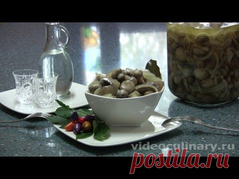 Грибы маринованные - Видеокулинария.рф - видео-рецепты Бабушки Эммы