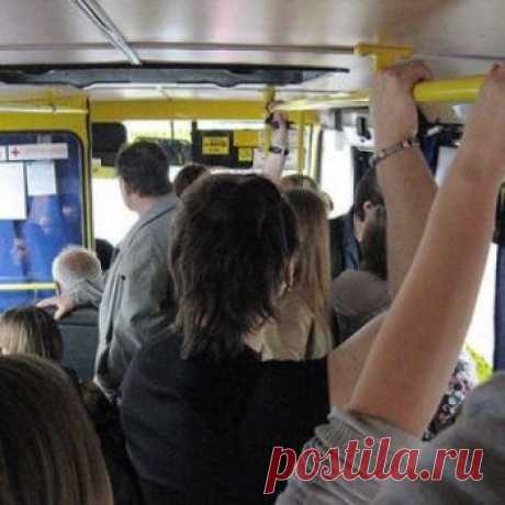 В Ростове автобусы набивают пассажиров, как селёдки, и стоят на остановках