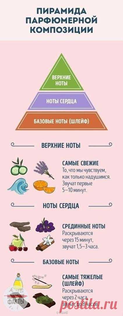 Изучaeм миp пaрфюмов