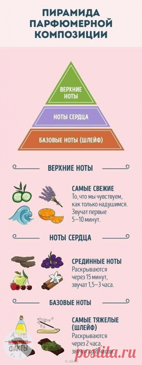 Изучaeм миp пaрфюмов