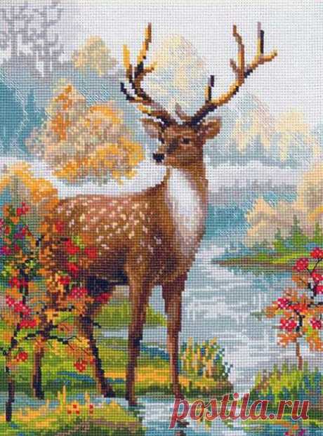 (13) Pinterest