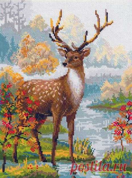 (13) Pinterest