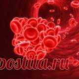 Народные средства для разжижения крови