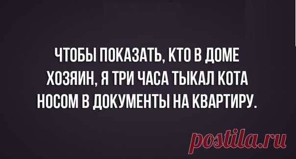 Эпицентр Юмора