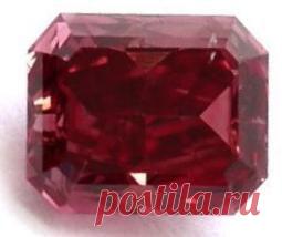 Камни, камешки, каменья... Бриллиант цвета крови | Хвастунишка