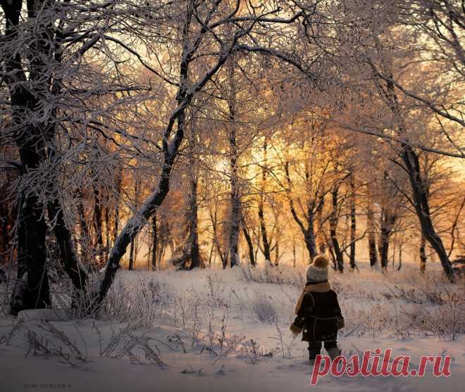 15 зимних фото о счастливом детстве в деревне https://www.flickr.com/photos/75571860@N06/with/15798658418/
